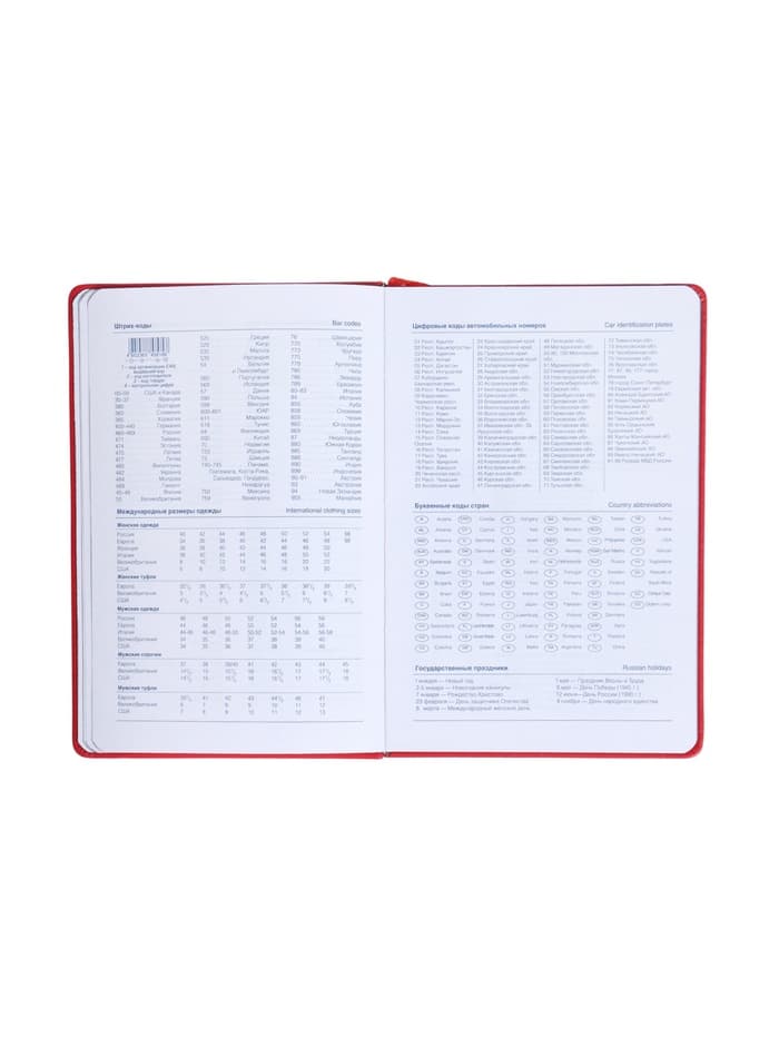 Ежедневник недатированный A5, 140 л, клетка, кожзам, на резинке, черный срез, Красный