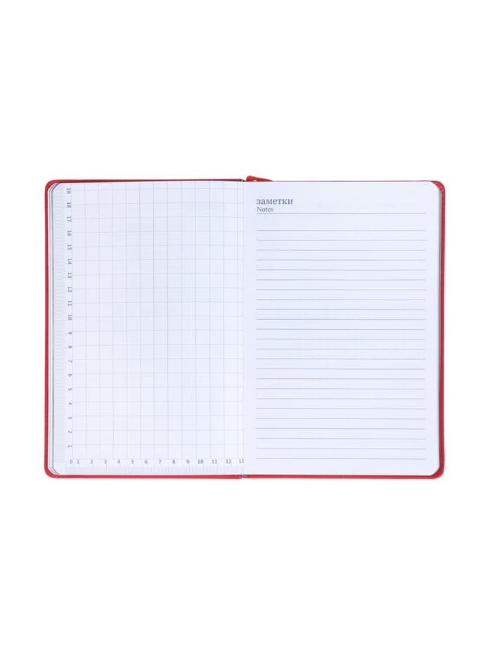 Ежедневник недатированный A5, 140 л, клетка, кожзам, на резинке, черный срез, Красный