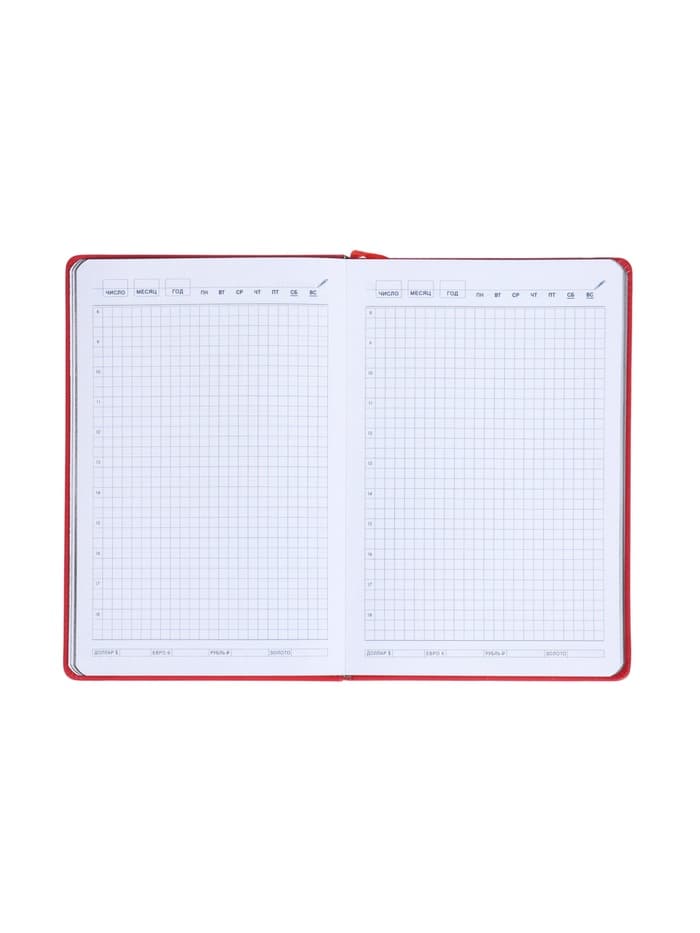 Ежедневник недатированный A5, 140 л, клетка, кожзам, на резинке, черный срез, Красный