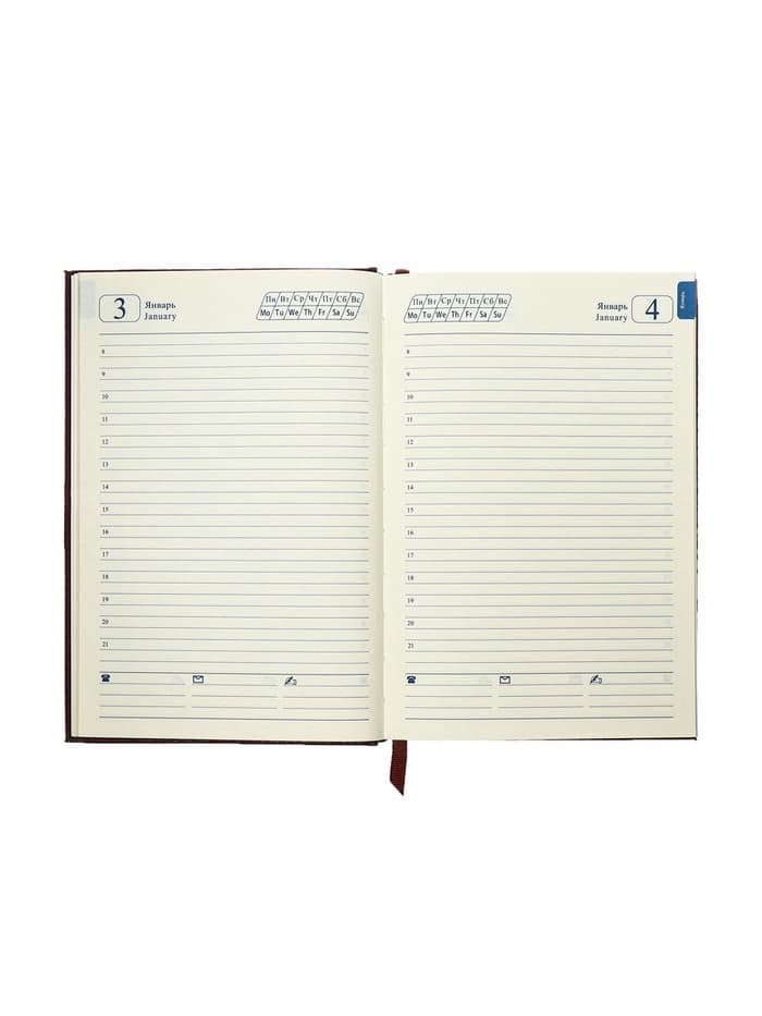 Ежедневник полудатированный «Крокодил», А5, 192 листа, с линейкой, обложка из искусственной кожи, золотой срез, коричневый