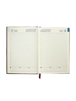 Ежедневник полудатированный «Крокодил», А5, 192 листа, с линейкой, обложка из искусственной кожи, золотой срез, коричневый