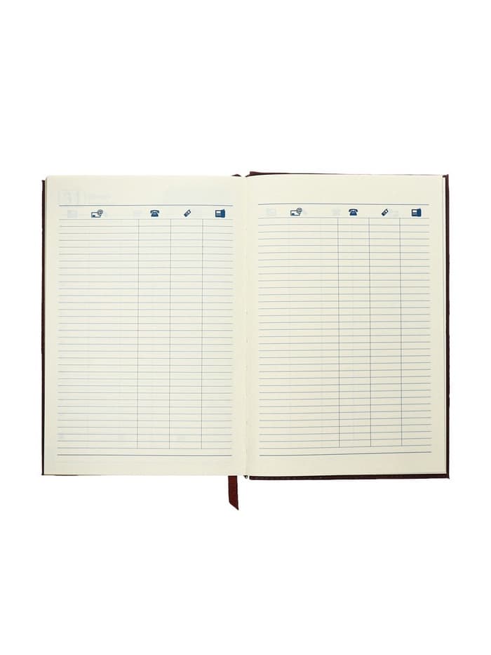 Ежедневник полудатированный «Крокодил», А5, 192 листа, с линейкой, обложка из искусственной кожи, золотой срез, коричневый