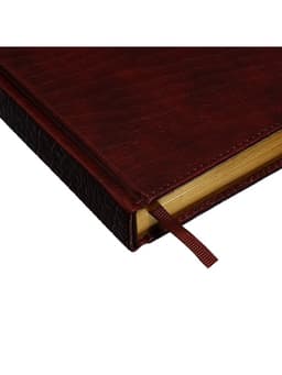 Ежедневник полудатированный «Крокодил», А5, 192 листа, с линейкой, обложка из искусственной кожи, золотой срез, коричневый