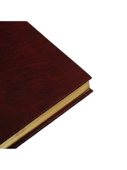 Ежедневник полудатированный «Крокодил», А5, 192 листа, с линейкой, обложка из искусственной кожи, золотой срез, коричневый