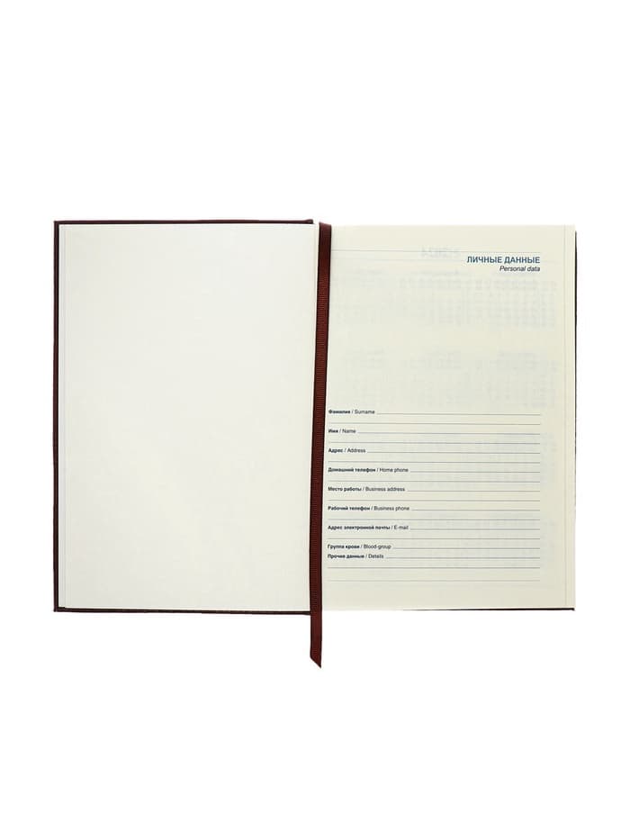 Ежедневник полудатированный «Крокодил», А5, 192 листа, с линейкой, обложка из искусственной кожи, золотой срез, коричневый