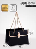 Пакет переноска для цветов, ручка цепь, «Чёрный», с золотым тиснением, 15×10.5×10 см