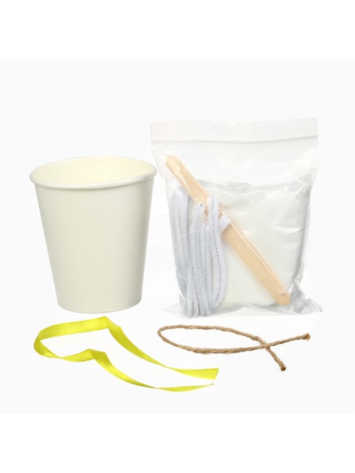 Выращивание новогодних кристаллов «Холодное сердце. Эльза», набор для опытов