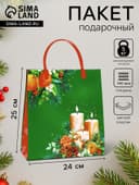 Пакет подарочный мягкий пластик «Игрушки» 140 мкм Сумка 25×24×8 см