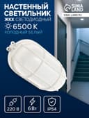 Светильник светодиодный, 6 Вт, 220 В, IP54, 6500К, пластик, решётка, овал, белый