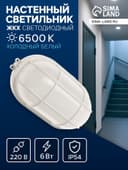 Светильник светодиодный, 6 Вт, 220 В, IP54, 6500К, пластик, овал, белый