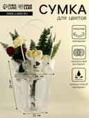 Сумка для цветов прозрачная, «Горошек», влагостойкая, 26×24×12 см