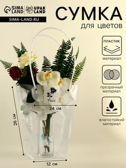 Сумка для цветов прозрачная, «Горошек», влагостойкая, 26×24×12 см