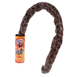 Прикол - игрушка со змеёй «Банка чипсов»