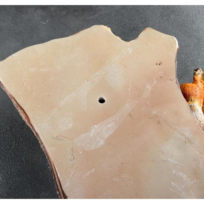 Садовая фигура из полистоуна «Навесные Белки поилки на дереве», подвесная, 60×33×17 см