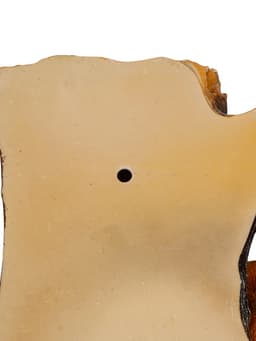 Садовая фигура из полистоуна «Навесные Белки поилки на дереве», подвесная, 60×33×17 см