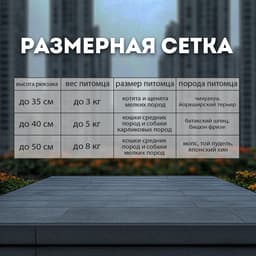 Рюкзак-переноска для кошек и собак, 35×30×26 см, серый