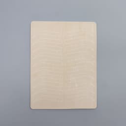 Искусственная кожа для тату и татуажа бровей, 19×14.5 см, бежевая