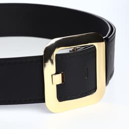 Ремень женский, 110×4.8 см, квадратная пряжка, золотистая, чёрный