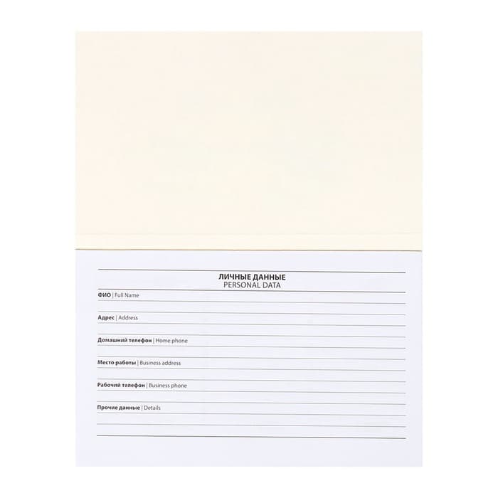 Планинг недатированный Calligrata «Планер трудоголика», A6, 50 листов, на склейке, мягкая обложка