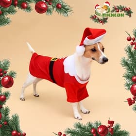 Толстовка для собак с колпаком Santa, размер L (ДС 35, ОГ 45 см)