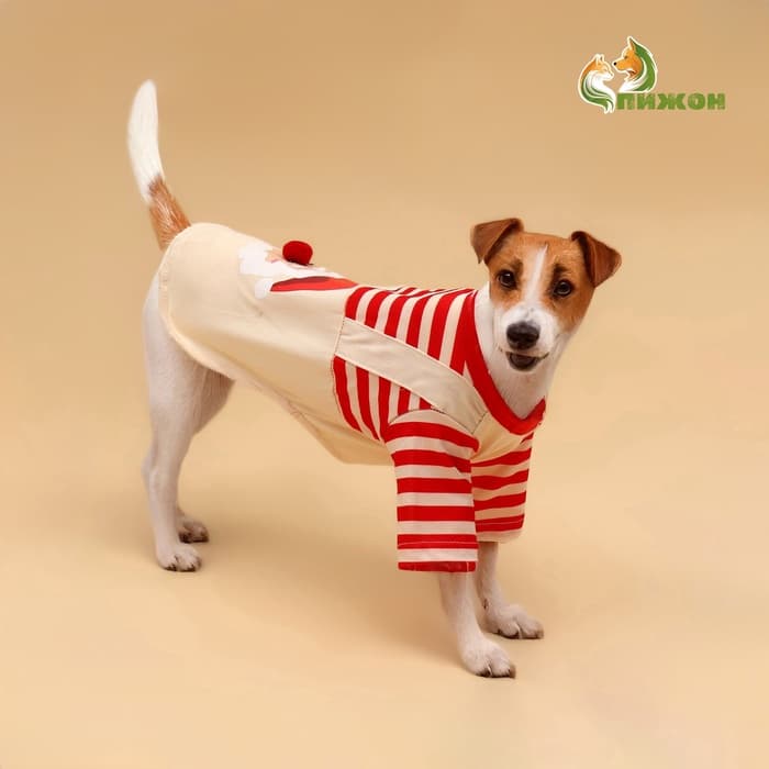 Футболка для животных Santa, размер L (ДС 35, ОГ 45 см)