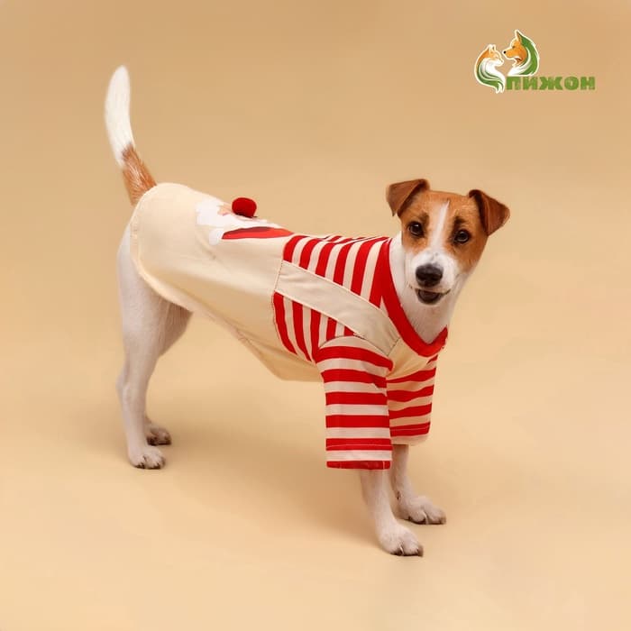 Футболка для животных Santa, M (ДС 30, ОГ 40 см)