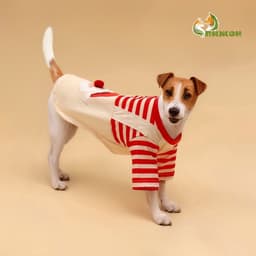 Футболка для животных Santa, S (ДС 25, ОГ 35 см)