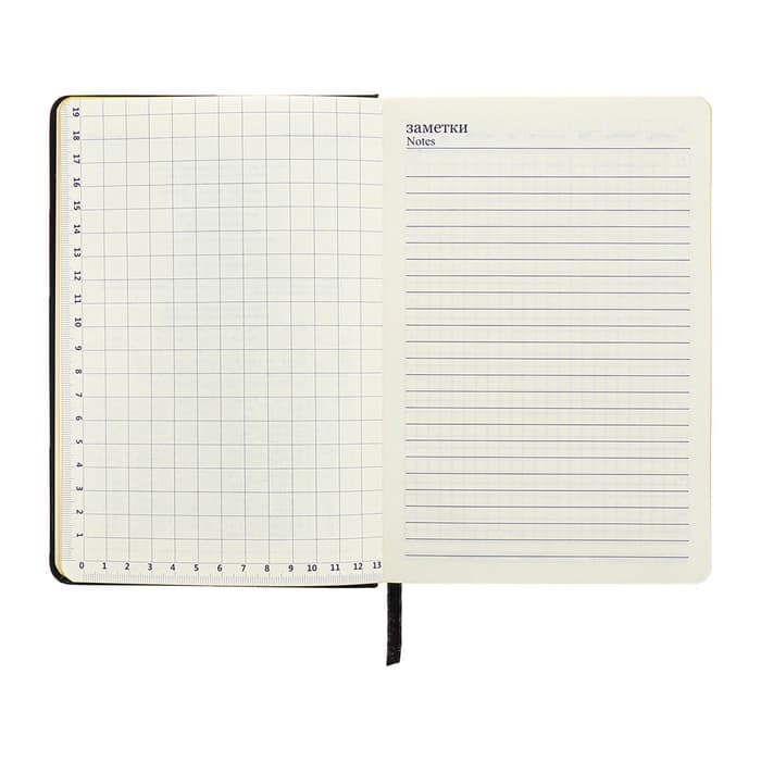 Ежедневник недатированный A5, 140 л, клетка, кожзам, на резинке, желтый срез, Черный