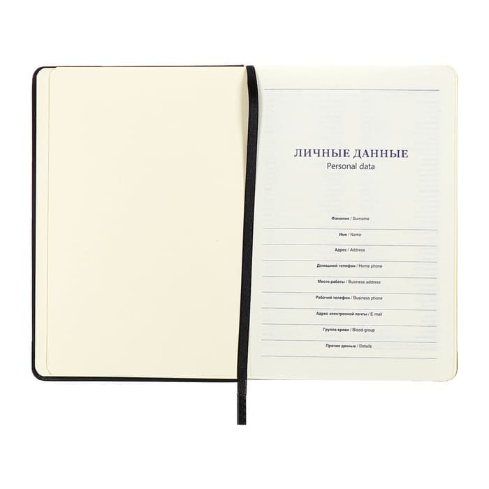 Ежедневник недатированный A5, 140 л, клетка, кожзам, на резинке, желтый срез, Черный