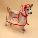 Дождевик для собак, размер L, ДС 30, ОГ 41-46, ОШ 42 см, красный