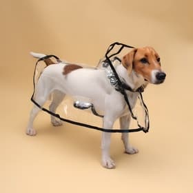 Дождевик для собак, размер 3XL, ДС 45, ОГ 56-62, ОШ 51 см, чёрный