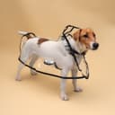 Дождевик для собак, размер 3XL, ДС 45, ОГ 56-62, ОШ 51 см, чёрный