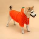 Толстовка «Любимая морковка», размер M, ДС 30, ОГ 44 см, оранжевая