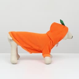 Толстовка «Любимая морковка», размер M, ДС 30, ОГ 44 см, оранжевая