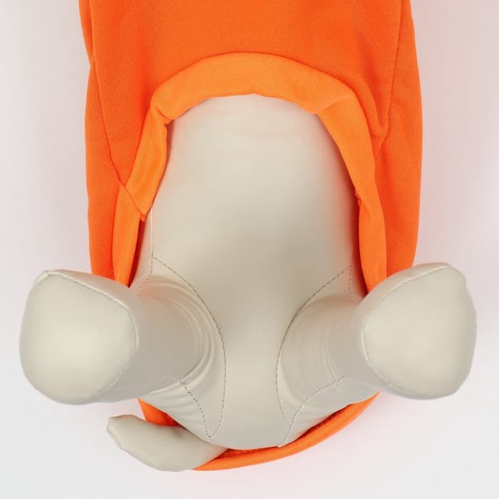 Толстовка «Любимая морковка», размер M, ДС 30, ОГ 44 см, оранжевая