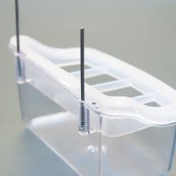 Кормушка для птиц, 11.7×6.3×5.5 см, внутренняя, с разделителем, пластик, прозрачная