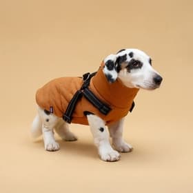 Куртка для собак со шлейкой, размер S (ДС 25, ОГ 35, ОШ 25 см), горчичная