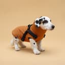 Куртка для собак со шлейкой, размер S (ДС 25, ОГ 35, ОШ 25 см), горчичная