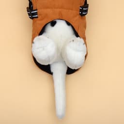 Куртка для собак со шлейкой, размер S (ДС 25, ОГ 35, ОШ 25 см), горчичная