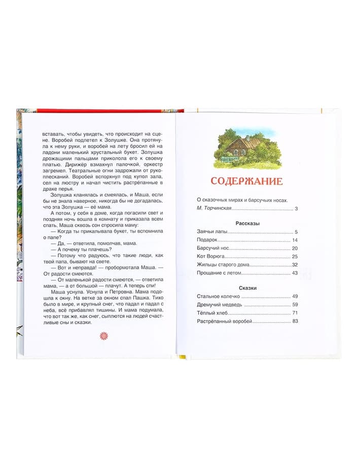 Книга «Рассказы и сказки для детей», Паустовский К.Г., внеклассное чтение