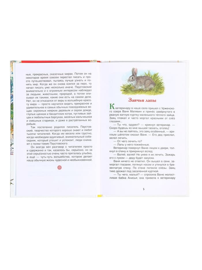 Книга «Рассказы и сказки для детей», Паустовский К.Г., внеклассное чтение