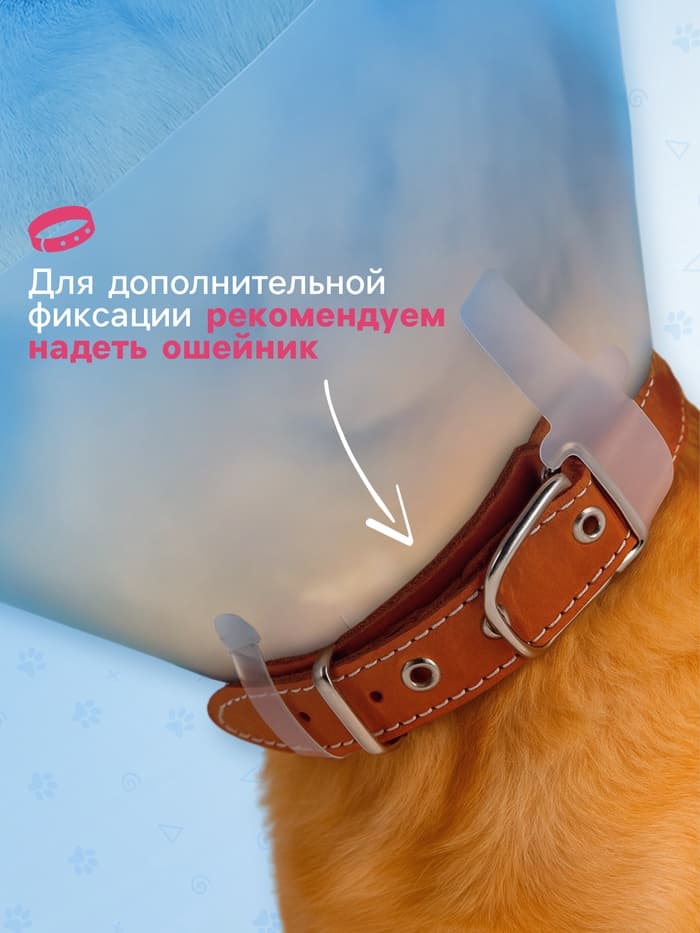Ветеринарный воротник с креплением на ошейник, ОШ 14-34 см, высота 20 см, без ошейника