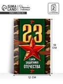 Открытка «С 23 Февраля!», 12×18 см