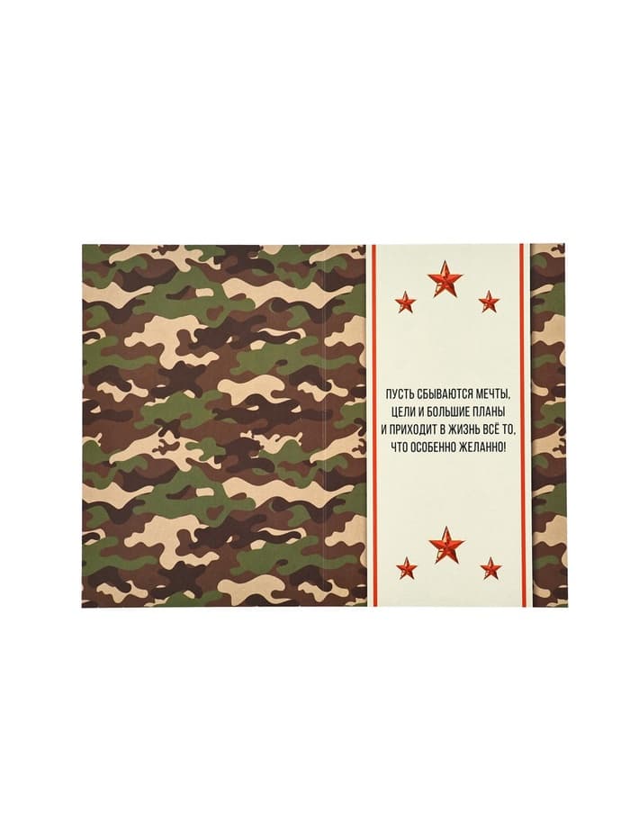 Открытка «С 23 Февраля!», 12×18 см