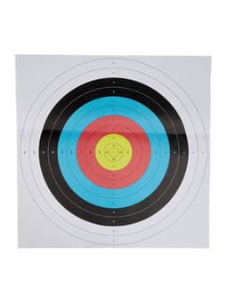 Набор мишеней для стрельбы, 10 шт., 60 см, бумажные, цветная печать