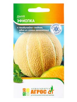 Семена Дыня «Эфиопка», 10 шт., «Агрос»