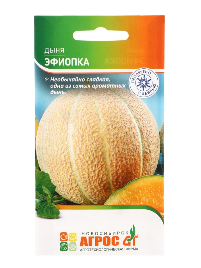 Семена Дыня «Эфиопка», 10 шт., «Агрос»