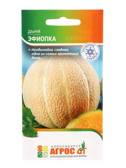 Семена Дыня «Эфиопка», 10 шт., «Агрос»