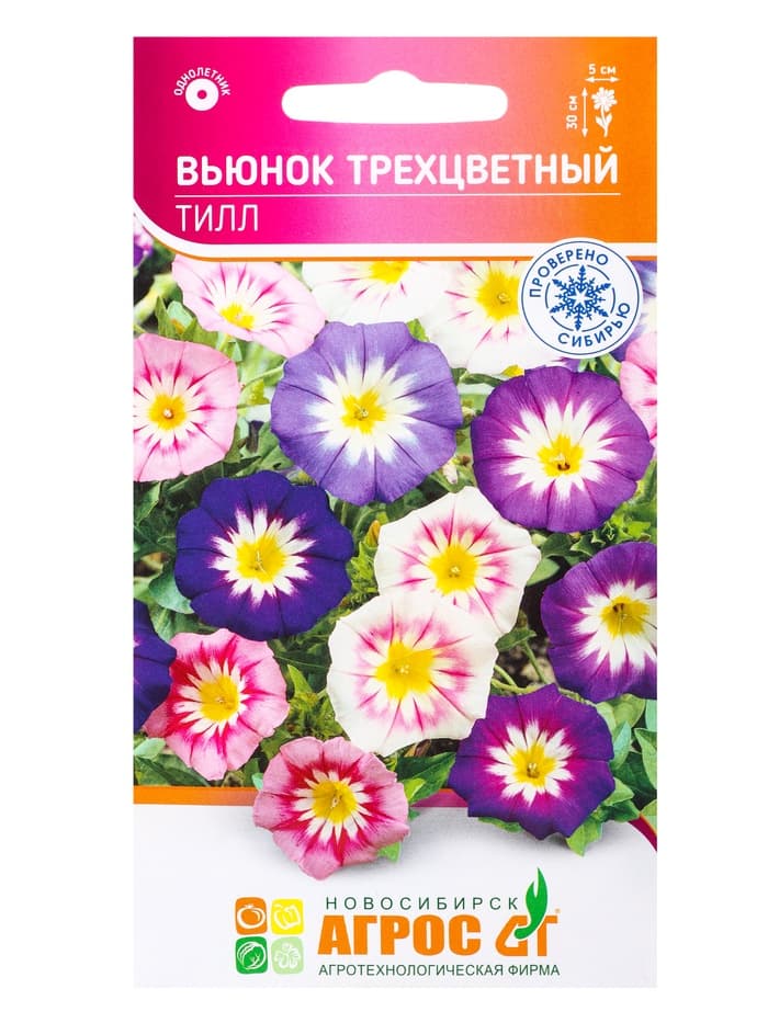 Семена Вьюнок трехцветный «Тилл», 0.5 г, «Агрос»