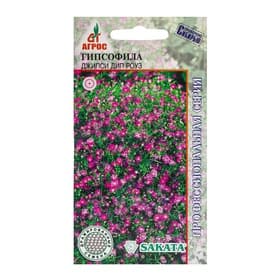 Семена Гипсофила «Джипси Дип Роуз», 5 шт., Sakata, «Агрос»
